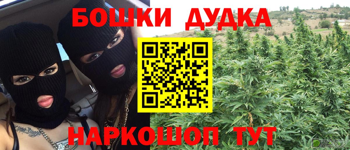 Шишки марихуана план  Вход с VPN  Великий Новгород  Каннабис марихуана 